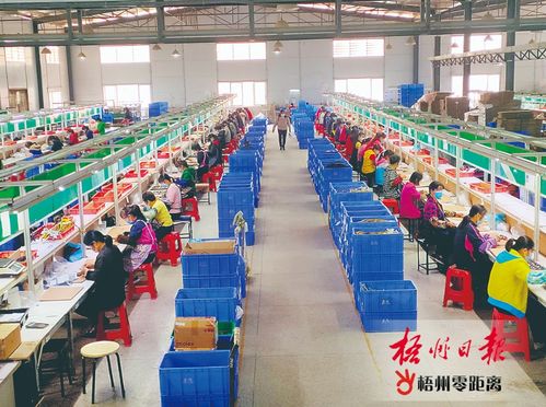 岑溪市努力實(shí)現(xiàn)一季度 開(kāi)門(mén)紅 ,各項(xiàng)目工地 企業(yè)車(chē)間涌動(dòng)著加快建設(shè)和生產(chǎn)的熱潮